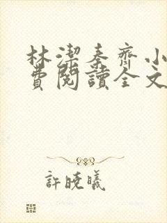 林洁秦齐小说免费阅读全文最新章节