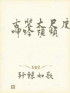 古装大尺度激情呻吟视频