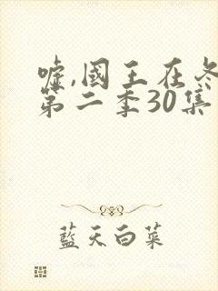 嘘,国王在冬眠第二季30集免费观看