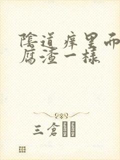 阴道痒里面像豆腐渣一样