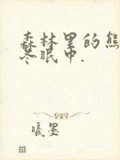 森林里的熊先生冬眠中.