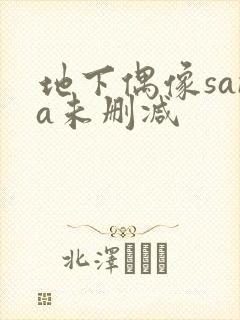 地下偶像sana未删减