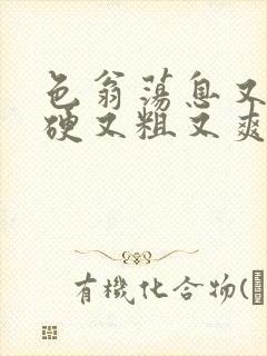 色翁荡息又大又硬又粗又爽