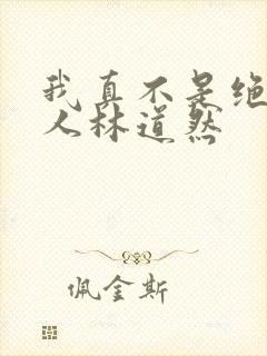 我真不是绝世高人林道然