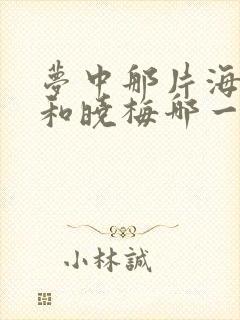 梦中那片海春生和晓梅哪一集在一起封面