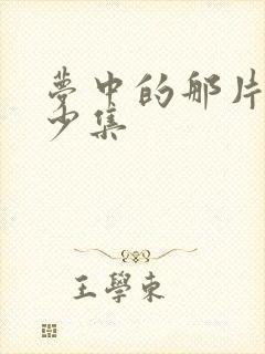 梦中的那片海多少集