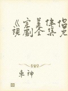 《完美伴侣》电视剧全集免费观看