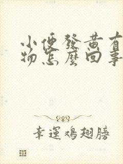 小便发黄有分泌物怎么回事