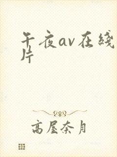午夜av在线看片