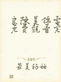 良陈美锦电视剧免费观看完整版高清