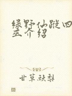 绿野仙踪四个女巫介绍