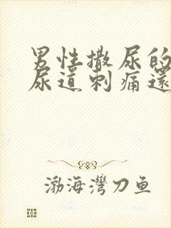 男性撒尿的时候尿道刺痛还流白色液体