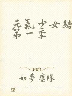 元气少女结缘神第一季封面