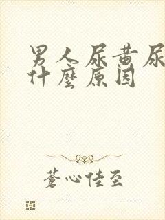 男人尿黄尿臭是什么原因