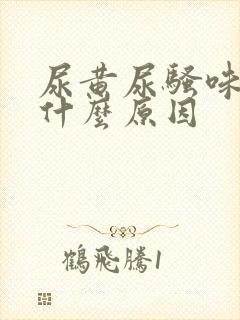 尿黄尿骚味重是什么原因