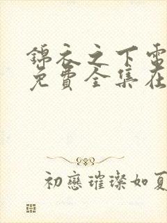 锦衣之下电视剧免费全集在线观看