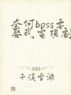 奈何boss要娶我电视剧免费观看全集封面