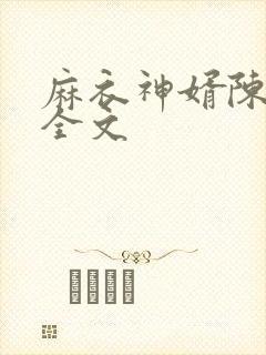 麻衣神婿陈黄皮全文