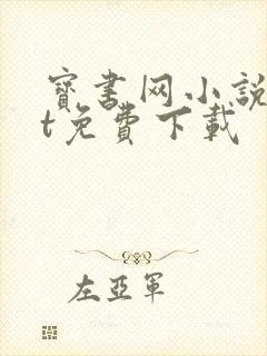 宝书网小说txt免费下载