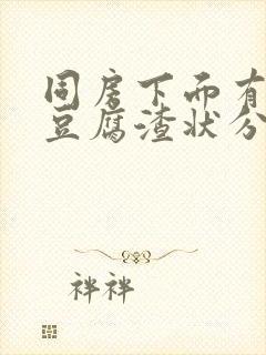 同房下面有白色豆腐渣状分泌物封面