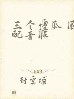 三个傻瓜 国语配音版封面