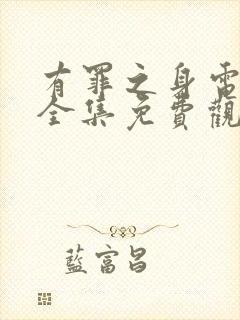 有罪之身电视剧全集免费观看高清