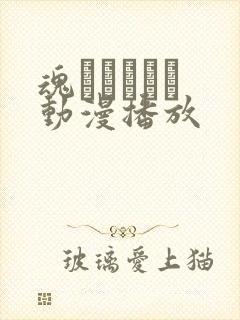 魂インサート 动漫播放