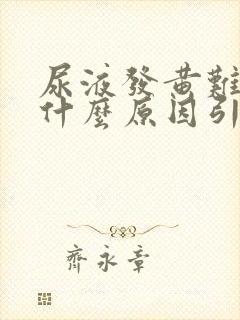 尿液发黄难闻是什么原因引起的女性封面