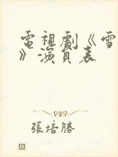 电视剧《雪迷宫》演员表