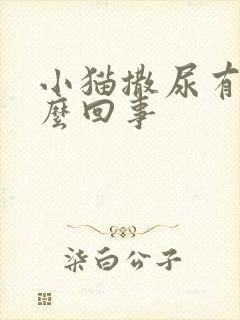 小猫撒尿有血怎么回事