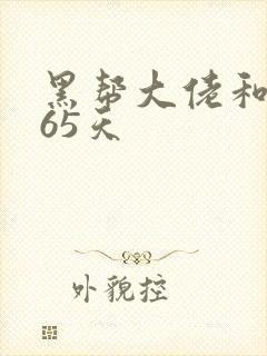 黑帮大佬和他365天