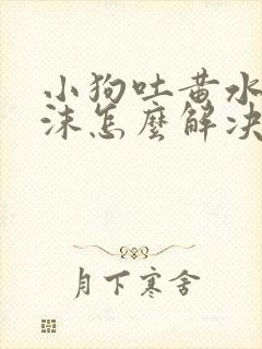 小狗吐黄水带泡沫怎么解决