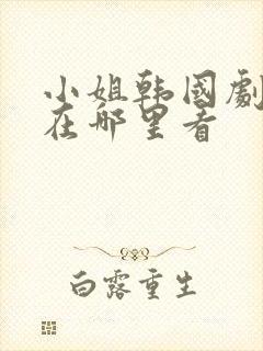 小姐韩国剧原版在哪里看封面