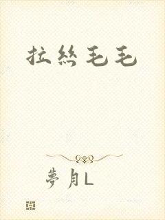 拉丝毛毛