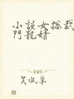 小说女总裁的上门龙婿