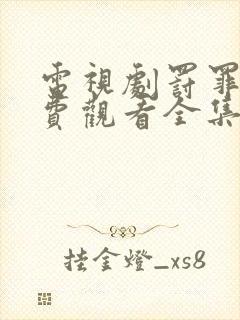 电视剧罚罪2免费观看全集在线封面