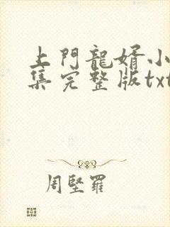 上门龙婿小说全集完整版txt