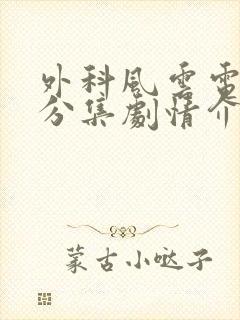 外科风云电视剧分集剧情介绍