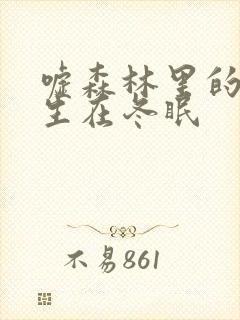 嘘森林里的熊先生在冬眠