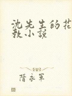 沈先生的花式管教小说封面