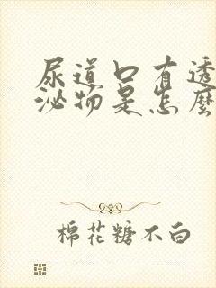 尿道口有透明分泌物是怎么回事