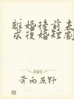 离婚后前夫哭着求复婚短剧演员表