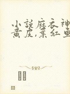 小说麻衣神婿陈黄皮,叶红鱼