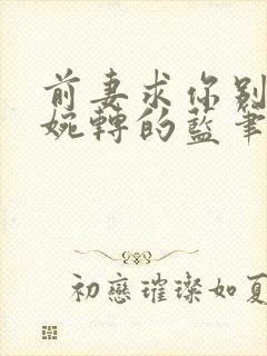 前妻求你别改嫁婉转的蓝笔趣阁封面