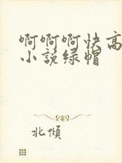 啊啊啊快高潮了小说绿帽