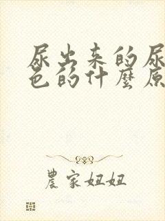 尿出来的尿是红色的什么原因封面