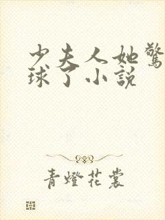 少夫人她惊艳全球了小说封面