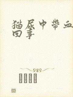 猫尿中带血怎么回事封面