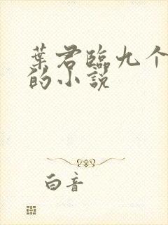 叶君临九个师傅的小说