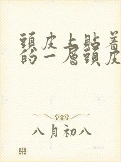 头皮上贴着白白的一层头皮屑